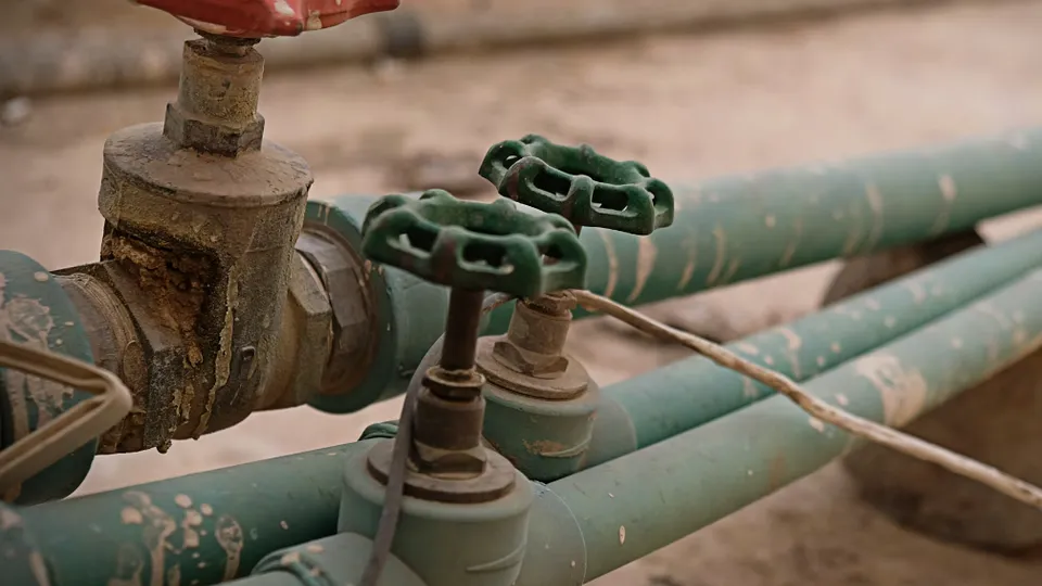 Фото: unsplash.com