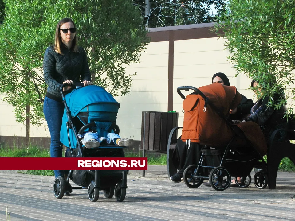 Фото: Александр Легкий