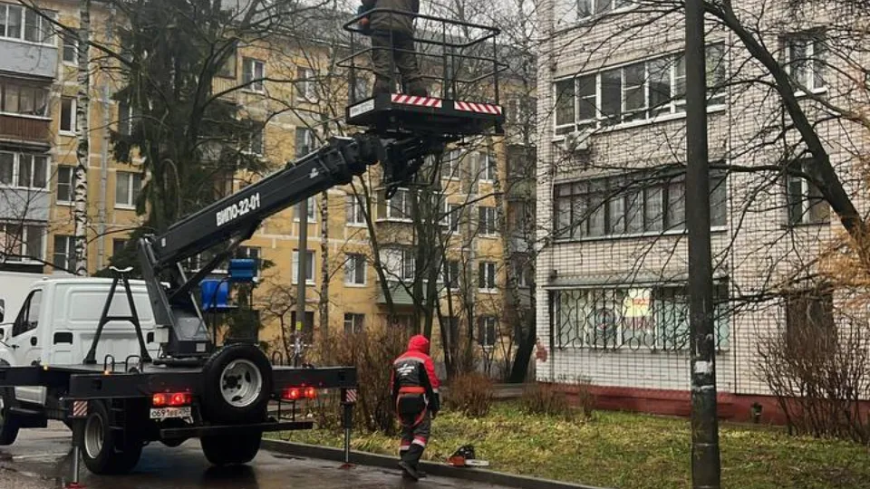 Фото: пресс-служба администрации г.о. Лобня