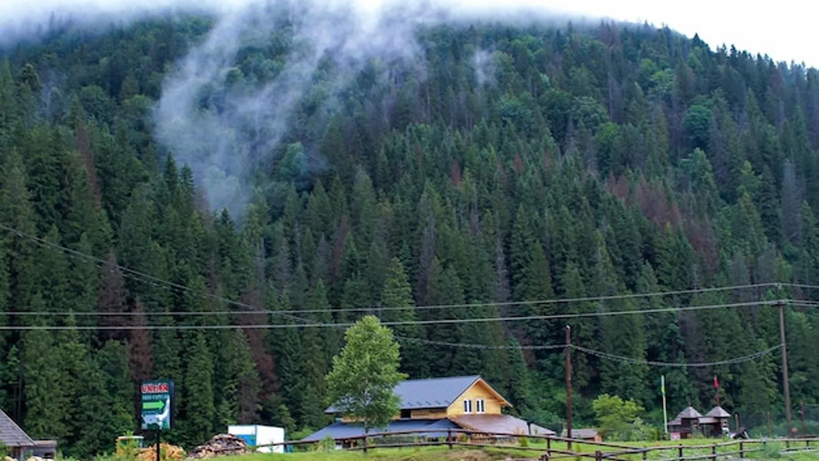Закарпатье. Фото freepik.com