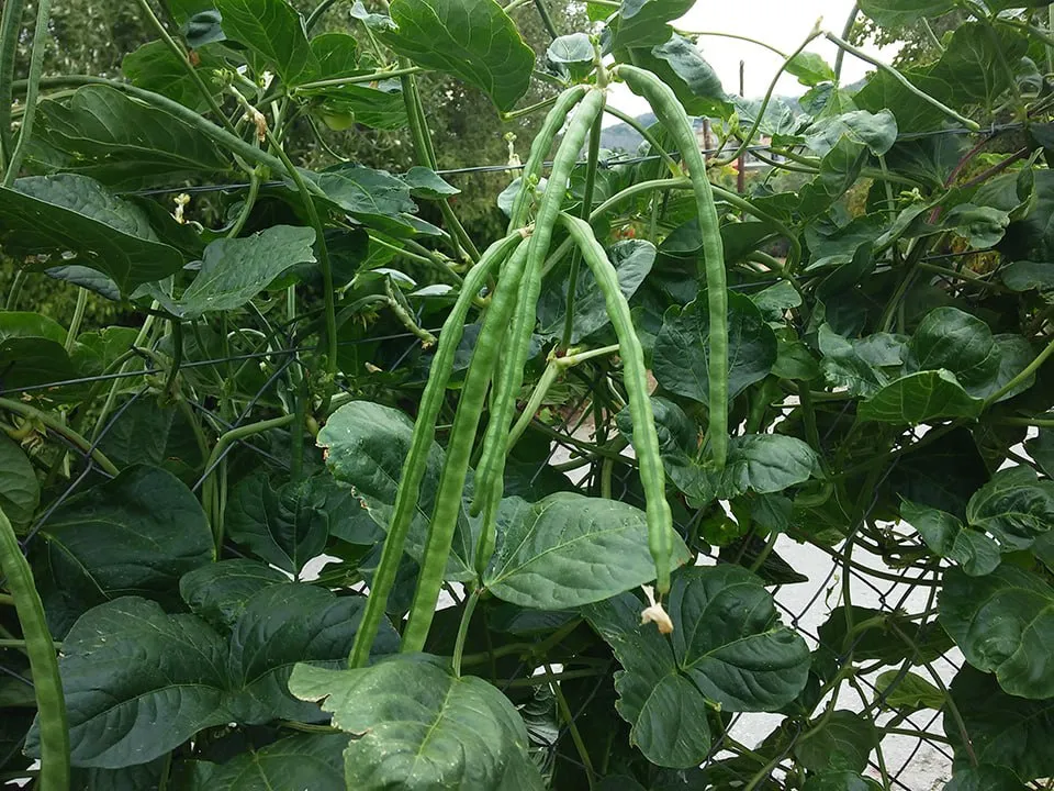 Фото: istockphoto.com