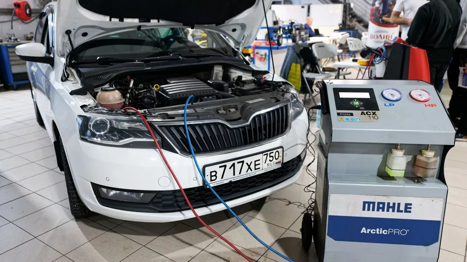 Фото: медиасток.рф