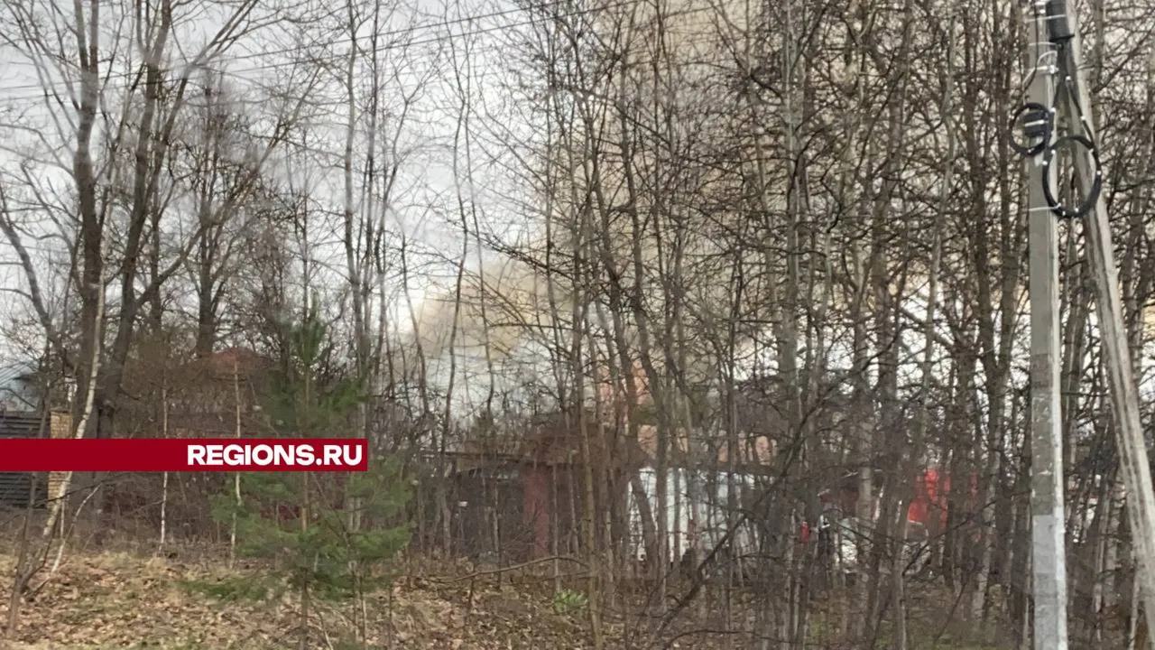 Фото: Алена Мельникова