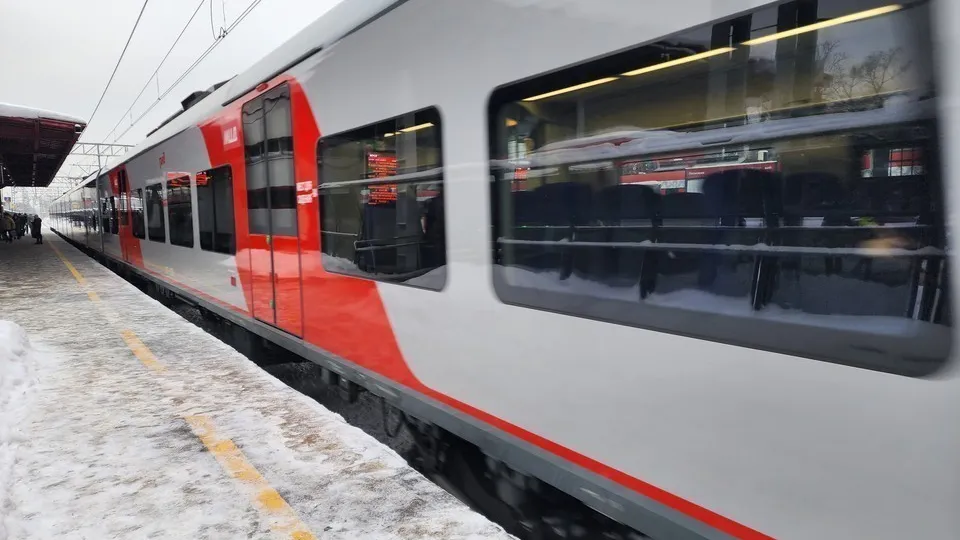 Фото: МедиаБанк Подмосковья/Дарья Савинова