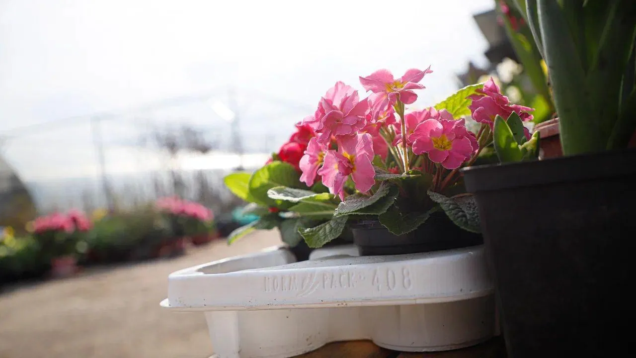 REGIONS/Наталья Надточая