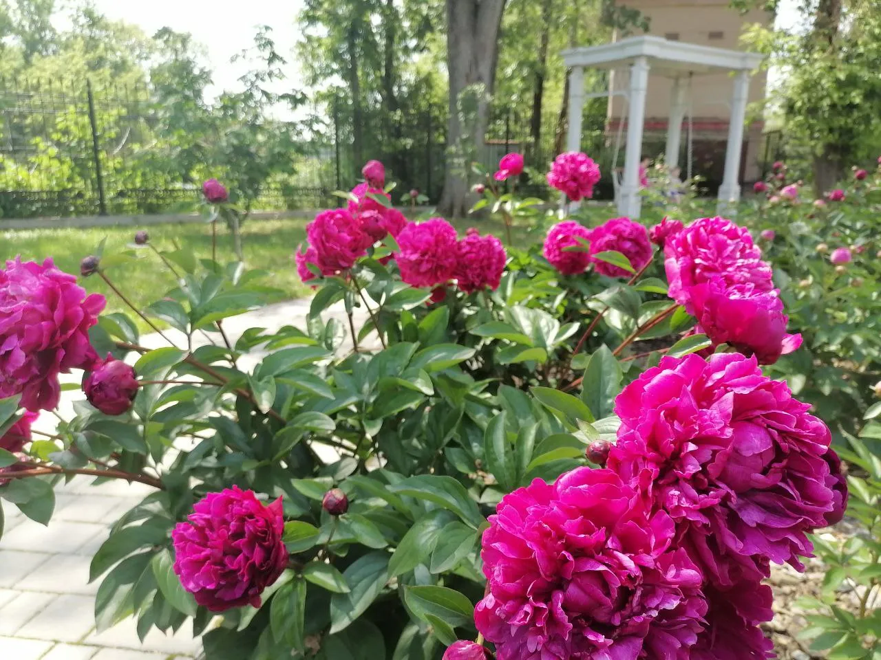 Фото: Наталья Дорофеева