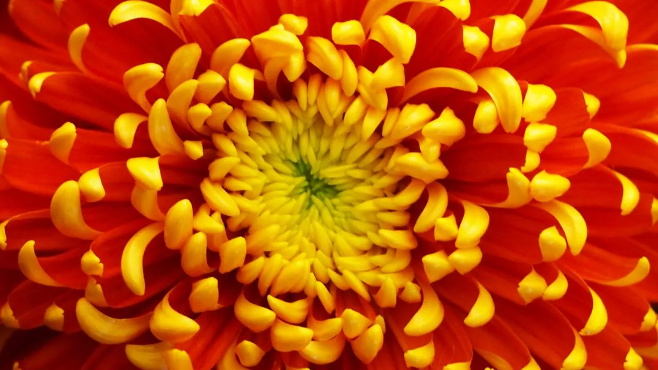 istockphoto.com/Jumnian1977Barisee