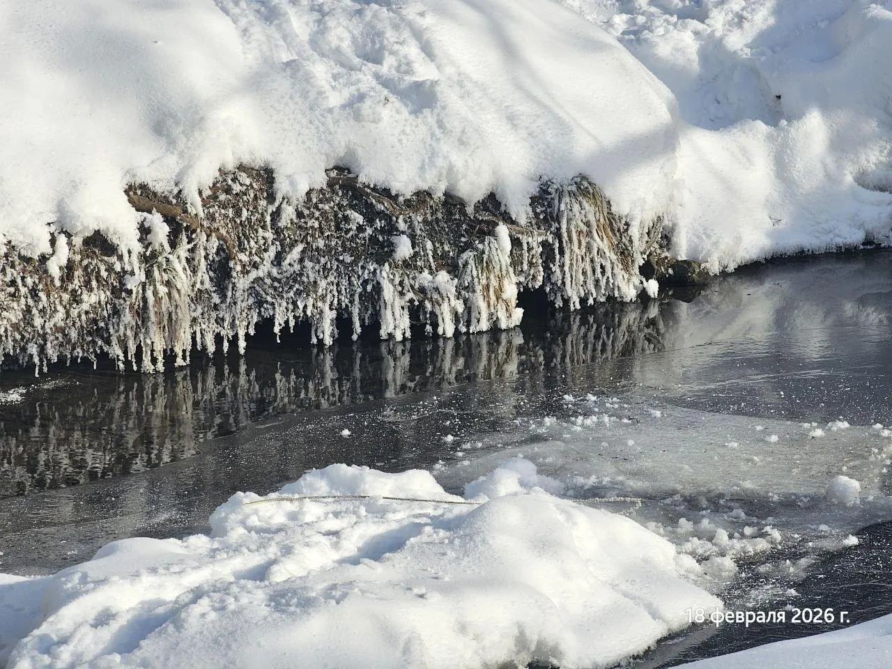 t.me/drozhzhinobutovopark2