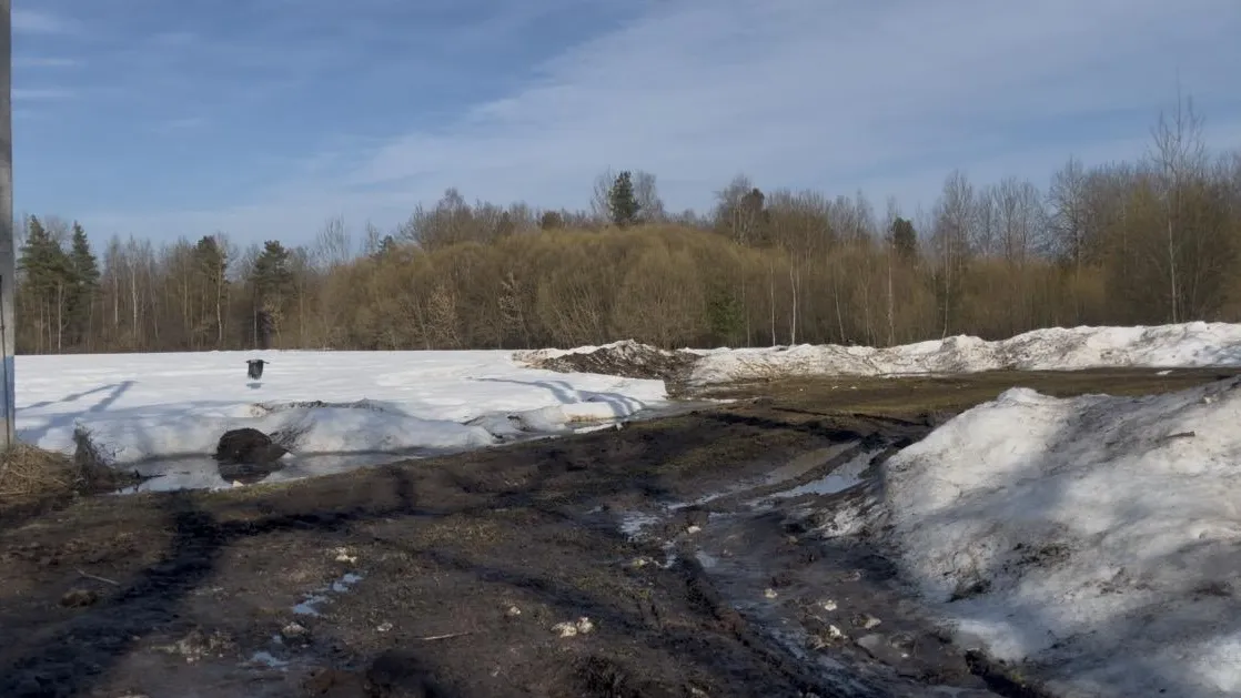 МедиаБанк Подмосковья/Ангелина Стельмух