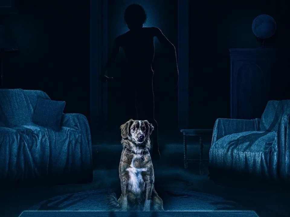 Фото: официальный постер к фильму «Глазами пса» студии What's Wrong With Your Dog?