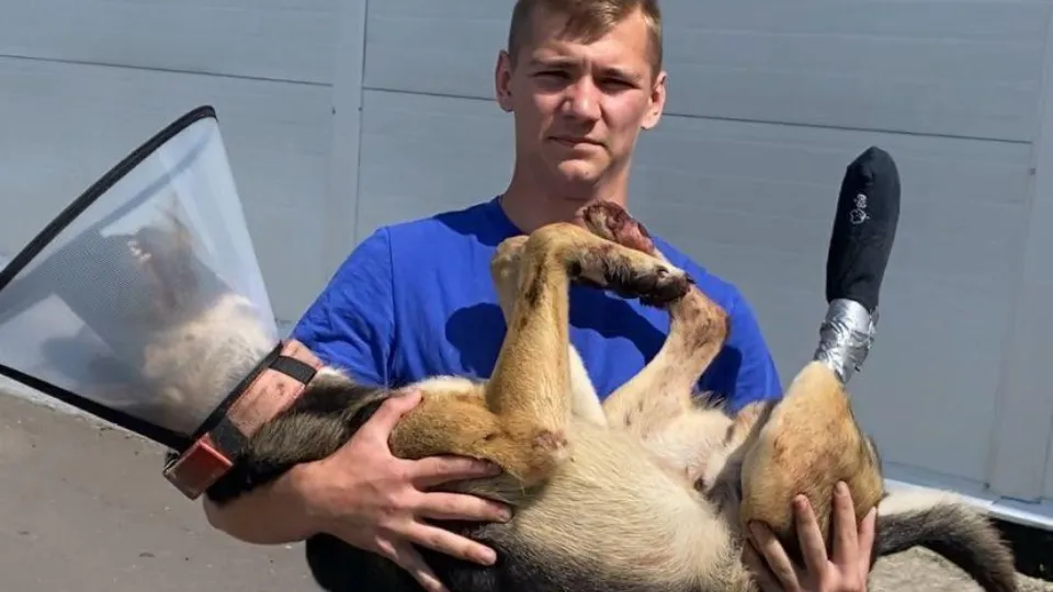 Фото: ГКУ МО «Мособлпожспас»