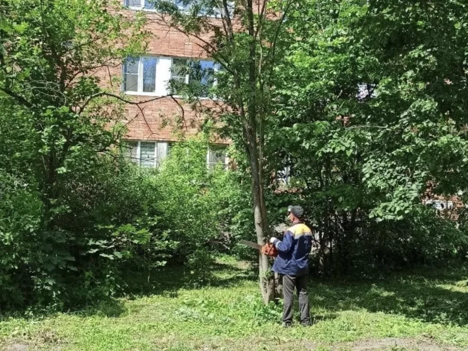 Фото: пресс-служба&nbsp;Министерства по содержанию территорий и государственному жилищному надзору Московской области