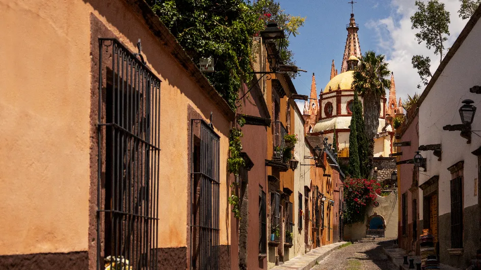 Фото: freepik.com