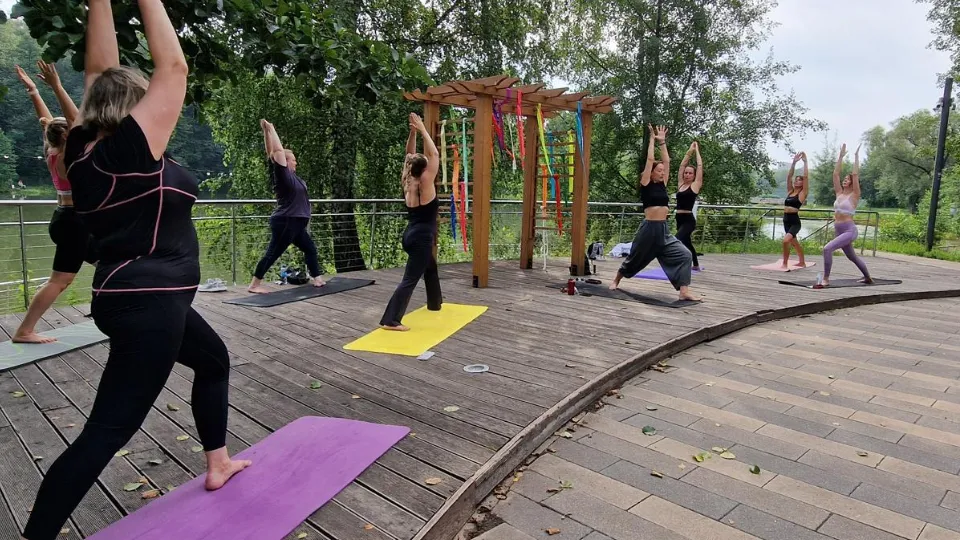 Фото: Министерство благоустройства Московской области