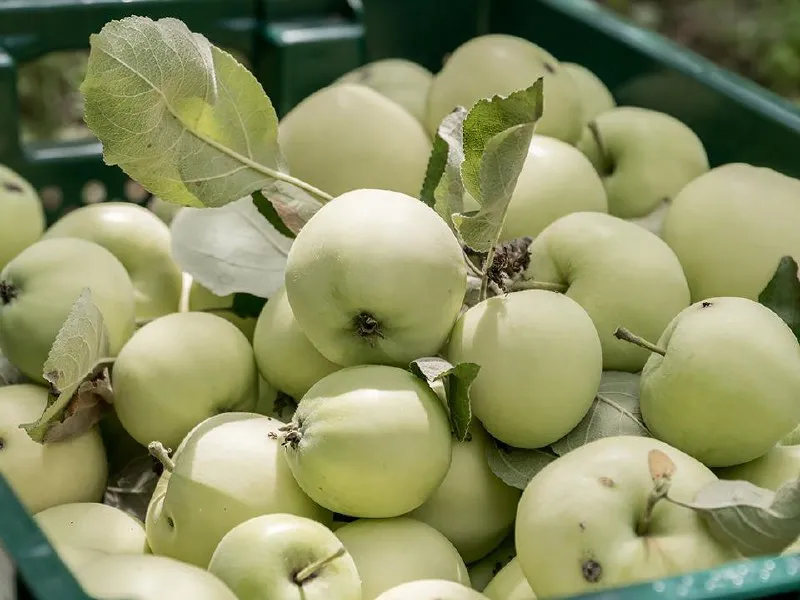 &nbsp; Фото: istockphoto.com