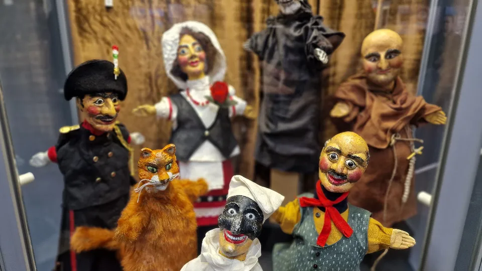 Фото: МедиаБанк Подмосковья/Виктория Фортуна