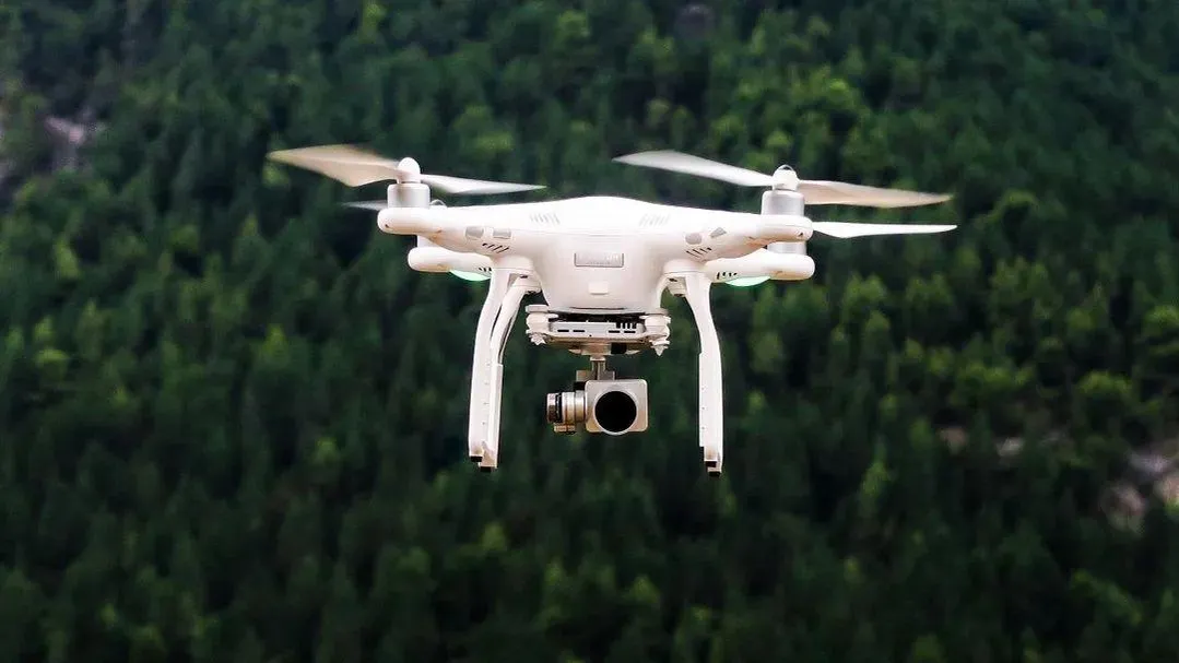 Фото: freepik.com