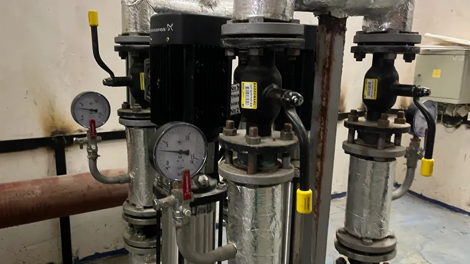 Фото: МедиБанк Подмосковья/Кристина Ларина