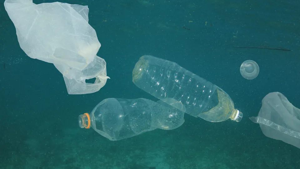 Фото: istockphoto.com/richcarey