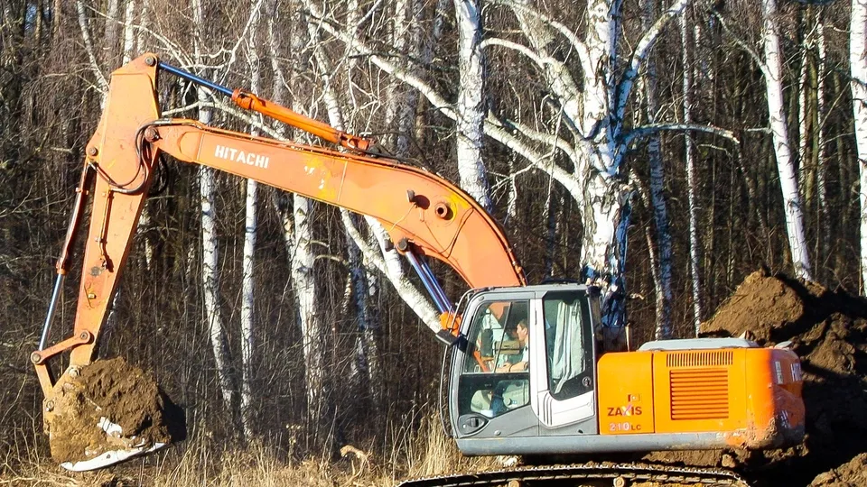 Фото: Владимир Лебедев