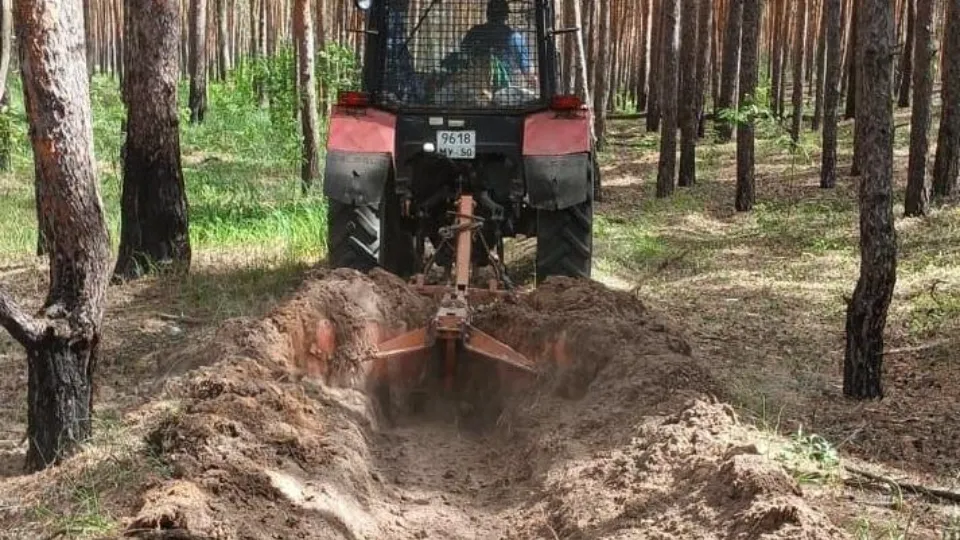 Фото: Комитет лесного хозяйства Московской области