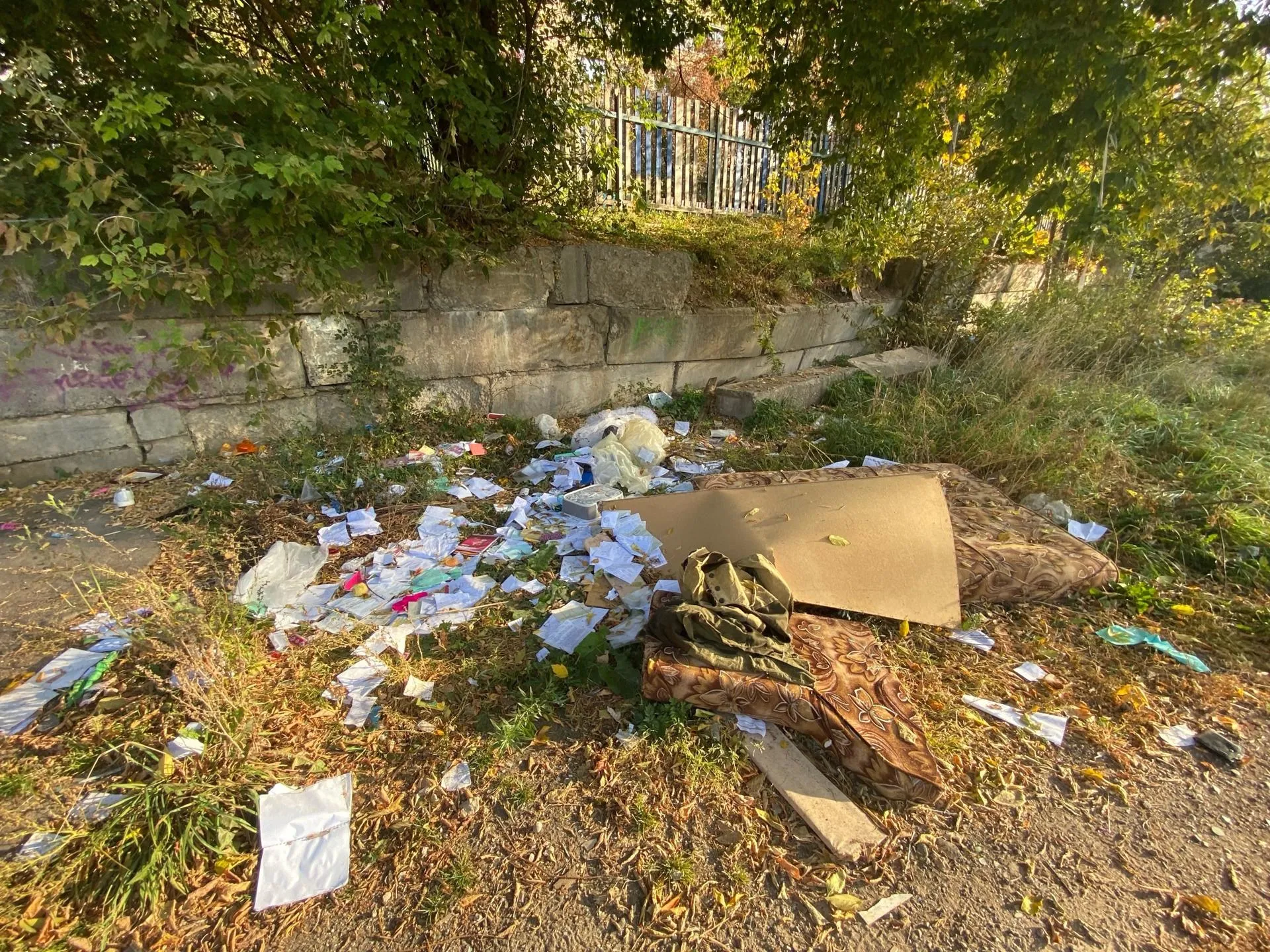 Фото: ТУЧКОВО | online / Вконтакте