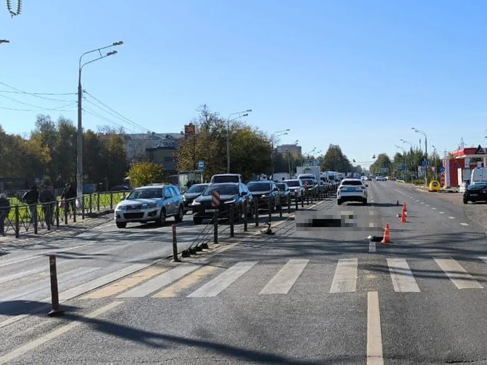 Фото:&nbsp;t.me/gumvd50