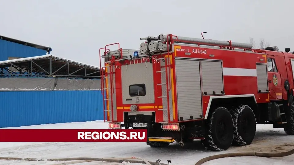 Фото: REGIONS/Василий Тремасов