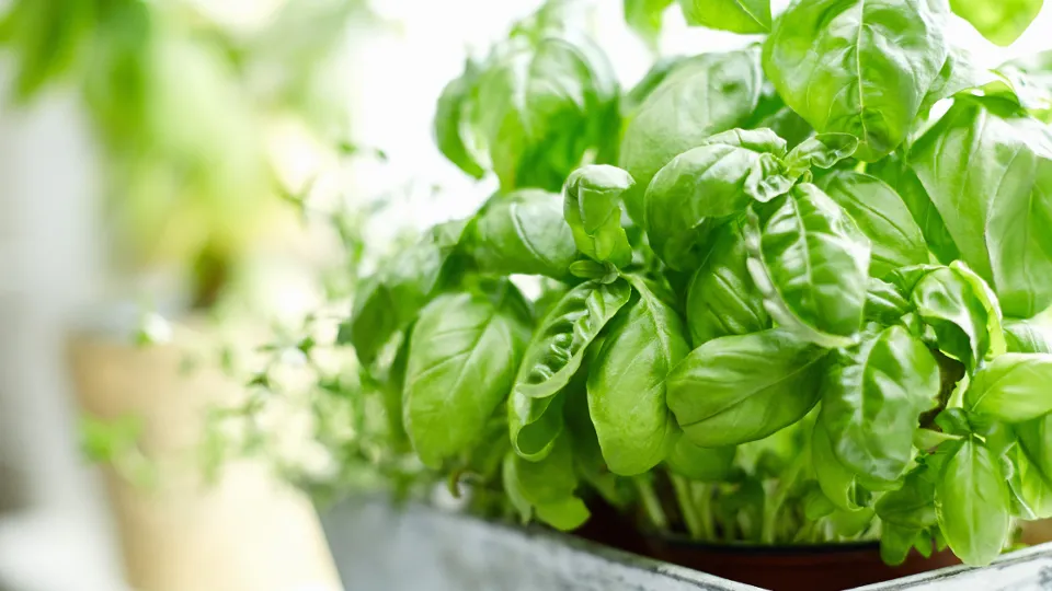 Фото: istockphoto.com/Neustockimages