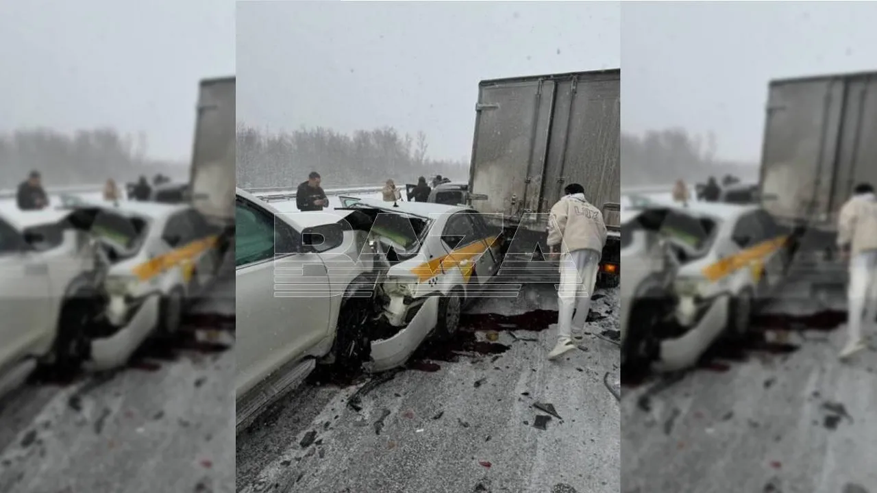 Следователи начали проверку после массовой аварии с погибшими на трассе М-4 в Подмосковье