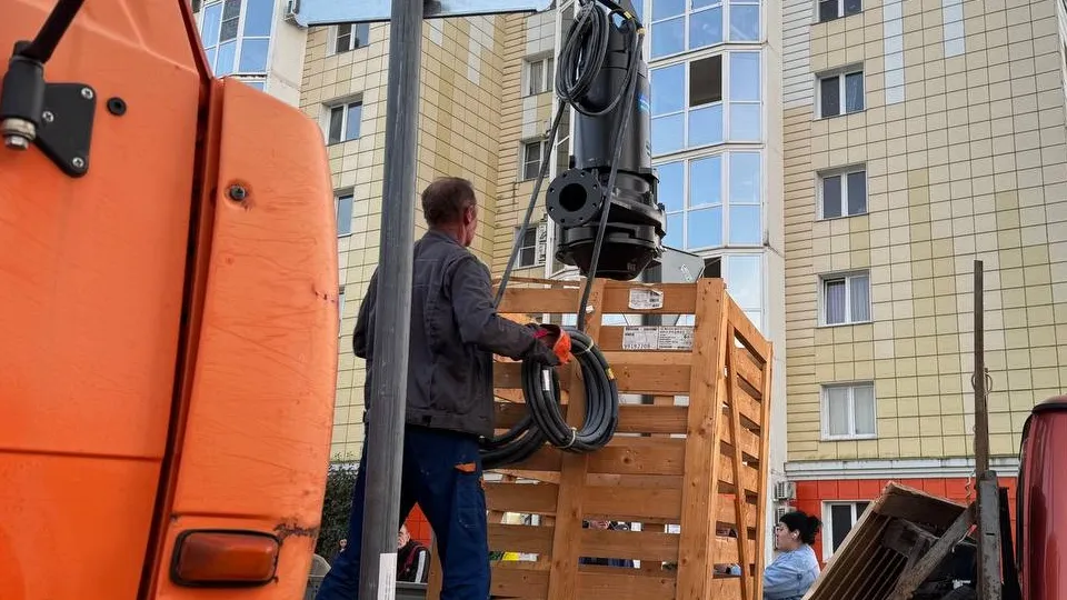 Фото: t.me/mikhalkov_official