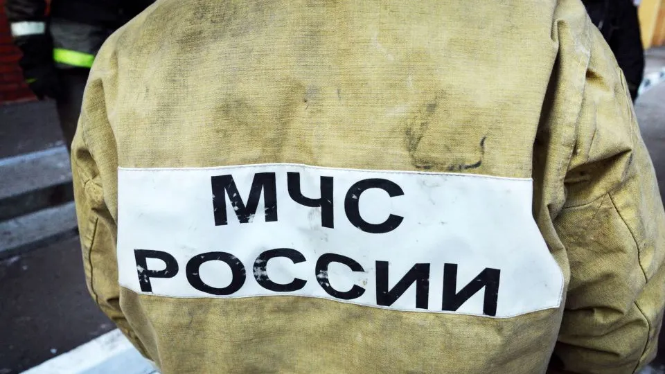 Фото: Медиаархив Подмосковья