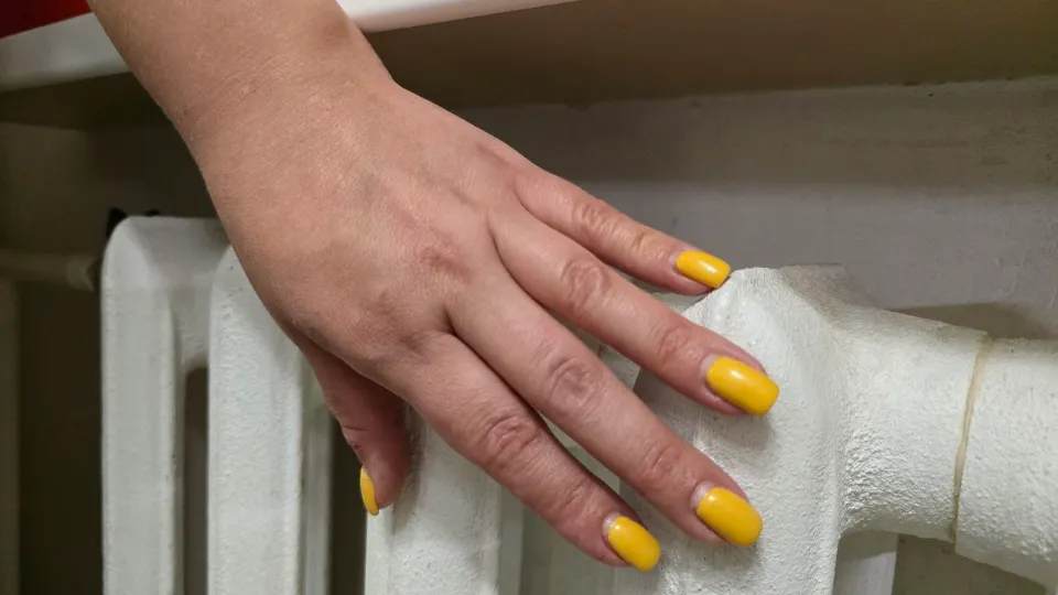 Фото: МедиаБанк Подмосковья/Яна Шаливская