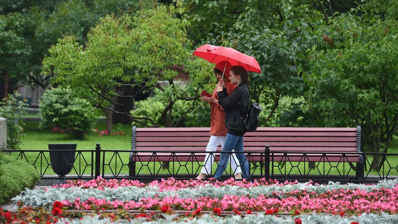 медиасток.рф