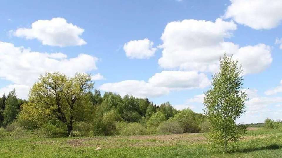 Министерство имущественных отношений Московской области