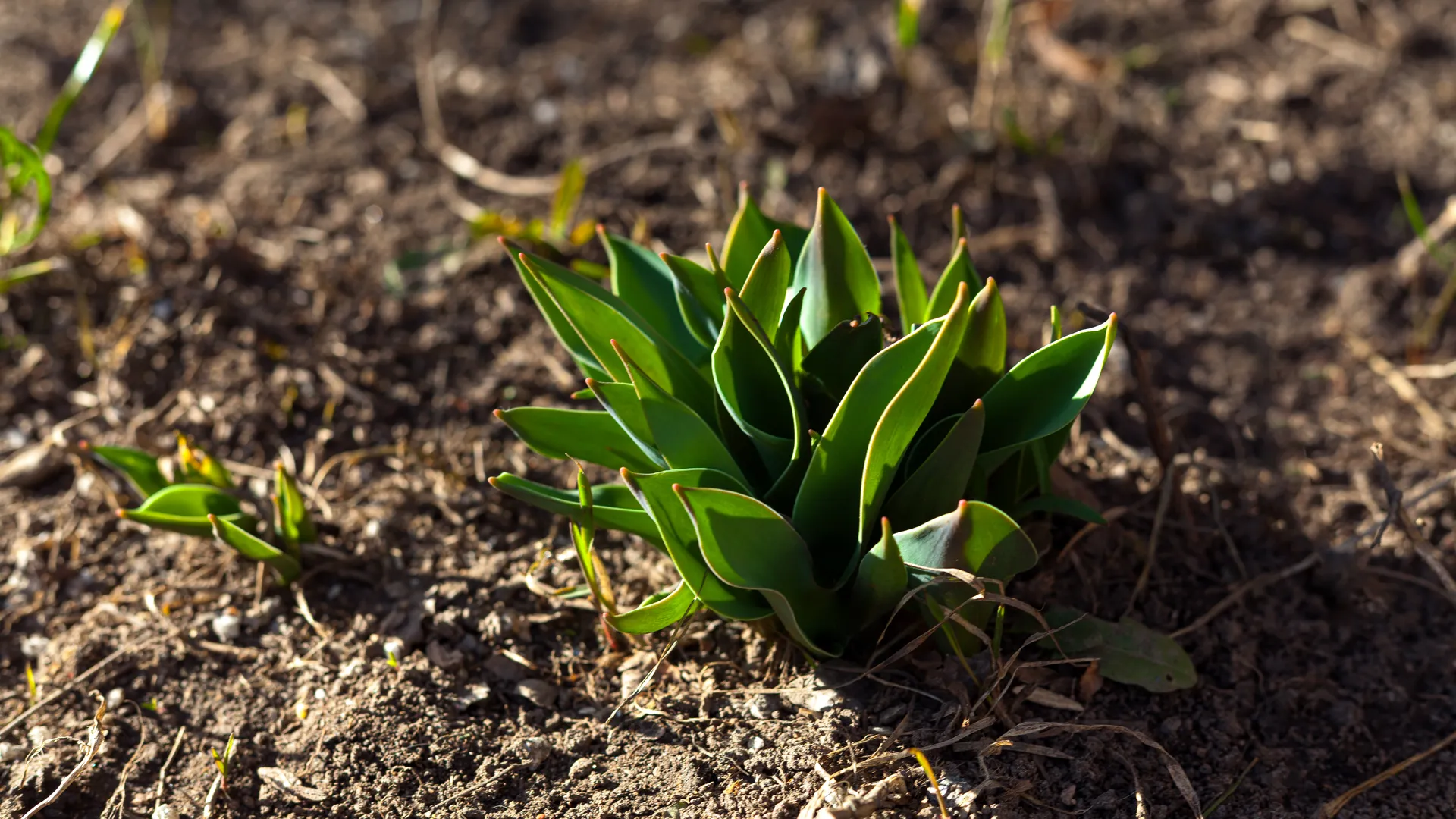 медиасток.рф