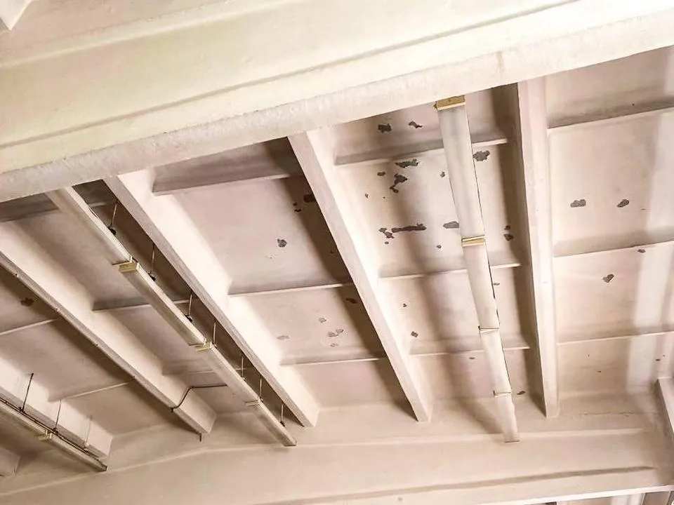 Фото: Пресс-служба администрации городского округа Мытищи