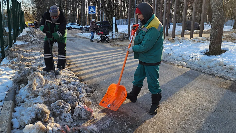 Фото: МедиаБанк Подмосковья/Валентина Максимова
