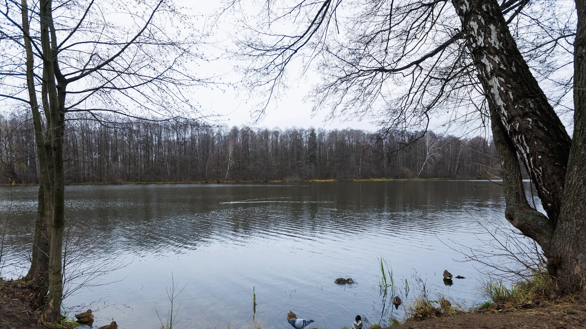 Фото: медиасток.рф