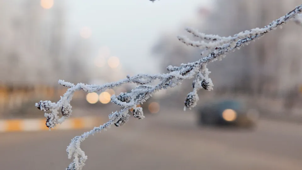 Фото: медиасток.рф