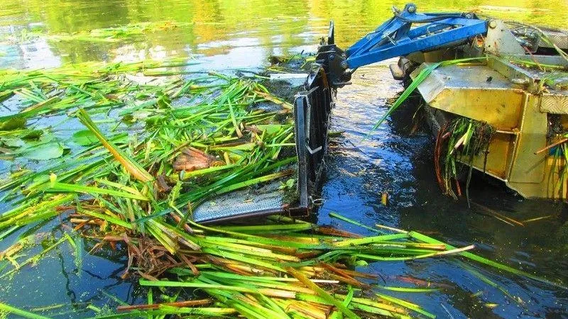 Сто водоемов очистят в Подмосковье за три года