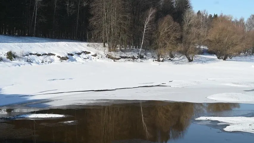 фото: Пресс-служба губернатора Московской области