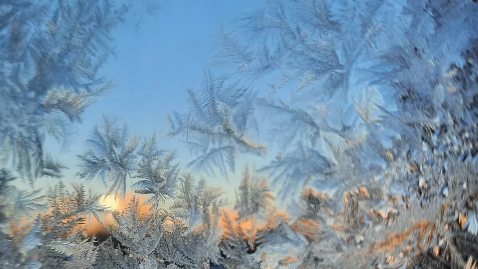 Фото: REGIONS/Роман Малышенко