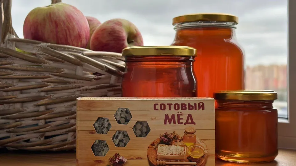 Фото: МедиаБанк Подмосковья/Татьяна Рунова