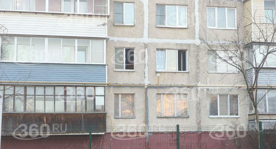 Жители Бронниц пожаловались на соседку, издевающуюся над собаками