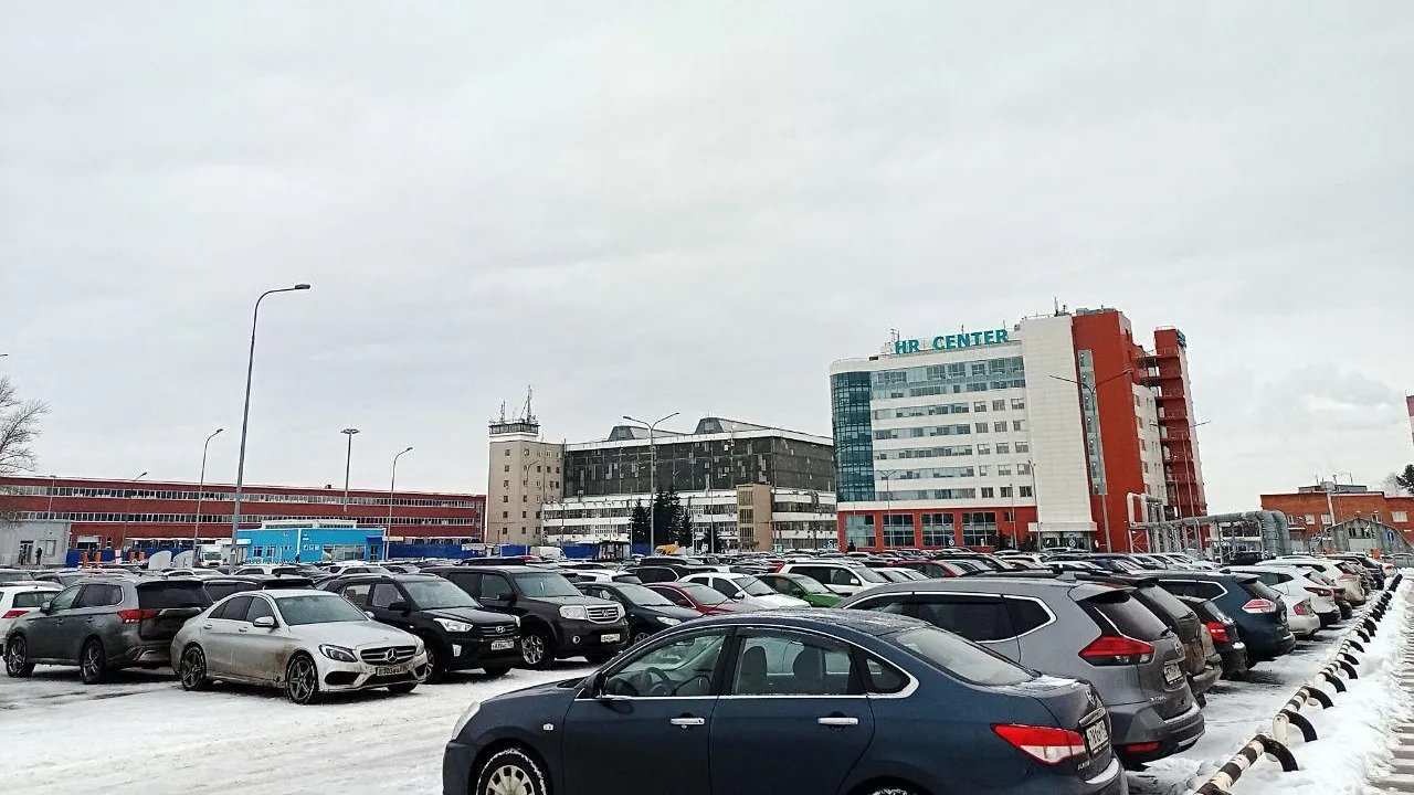 Фото: Елена Григорьева