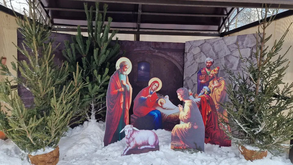 Фото: Виктория Фортуна