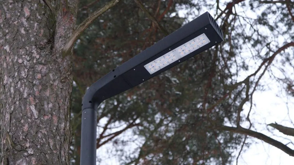 Фото: пресс-служба администрации г.о. Лыткарино