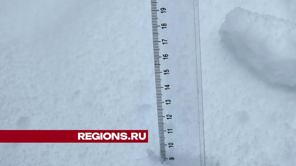 Фото: Дмитрий Алексеенко