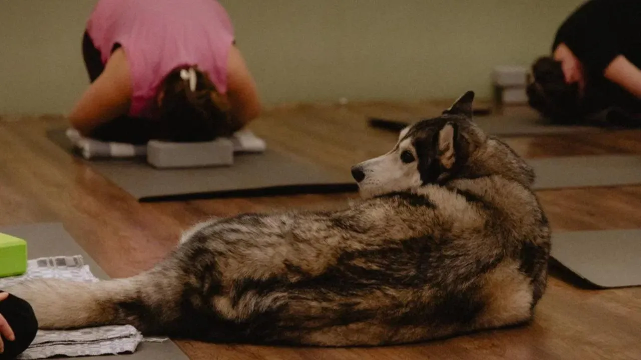 Эрнест Заведеев